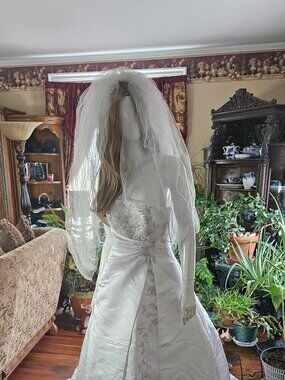 WOW - Michaelangelo Wedding Dress - Size 6 - NWOT